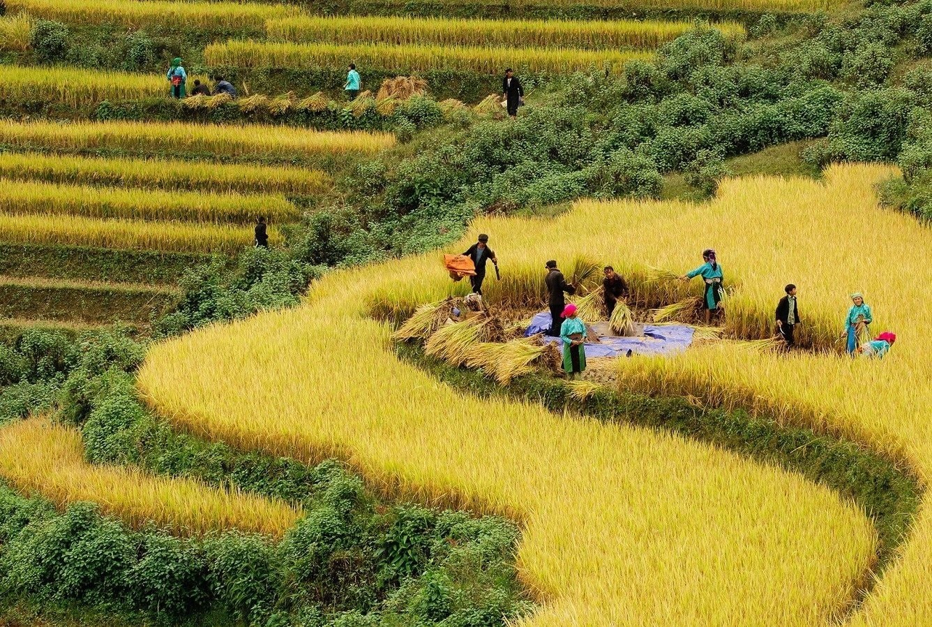 chu-nhiem-uy-ban-khoa-hoc-cong-nghe-va-moi-truong-cua-quoc-hoi-le-quang-huy(1).jpg