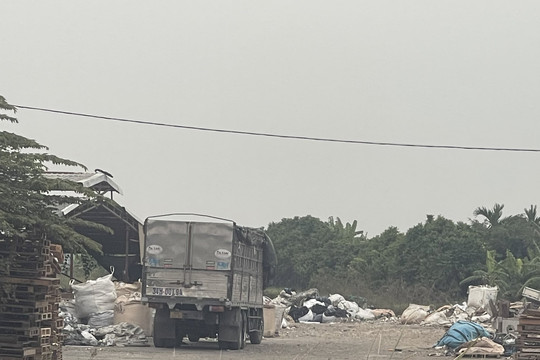 Cẩm Giàng (Hải Dương): Hàng loạt bãi rác thải, phế liệu trái phép gây ô nhiễm