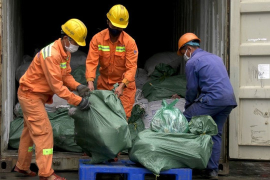 Quảng Nam: Tiêu hủy gần 10 tấn động vật hoang dã buôn lậu có giá trị 300 tỷ đồng