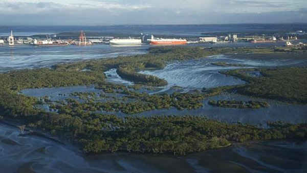 Đầm lầy ngập xung quanh hải cảng Brisbane, Úc vào ngày 22/2 sau cơn bão Marcia - Ảnh: reuters