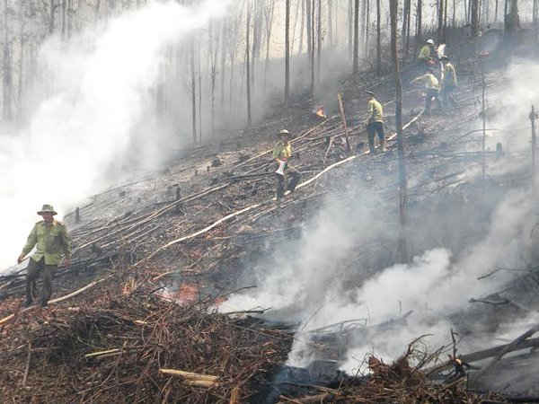 Nắng hạn kéo dài nhiều tháng qua, nguy cơ xảy ra cháy rừng và lan nhanh trên các loại rừng là rất cao