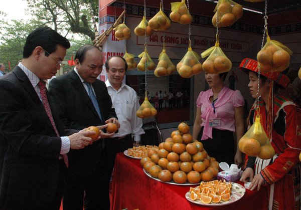 Lãnh đạo tỉnh Hà Giang giới thiệu sản phẩm cam sạch với đồng chí Trưởng ban Chỉ đạo Tây Bắc