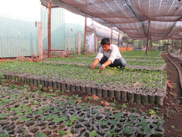 Không kịp thay quần áo, Nguyễn Chí Nguyên chăm sóc vườn ươm ngay cả khi vừa đi làm về.