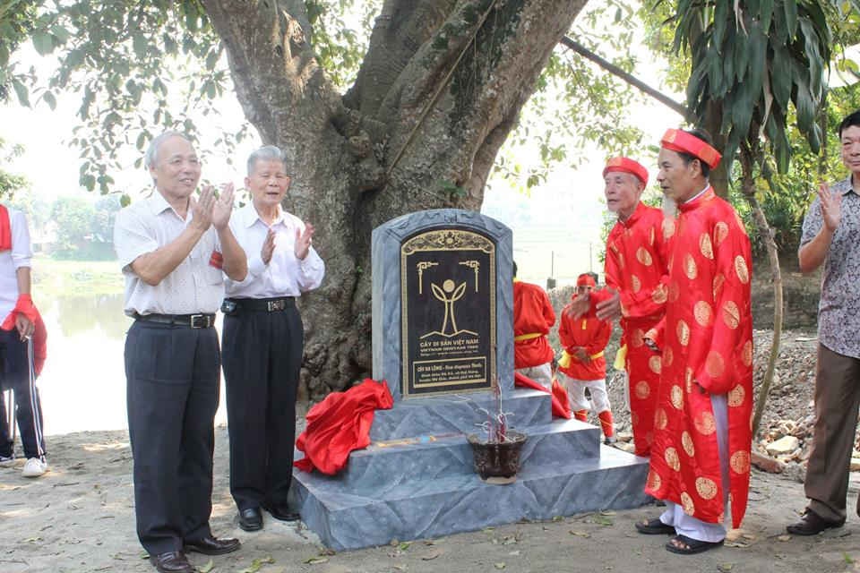 Tháo băng mở bia vinh danh 04 cây gồm 01 cây Đa lông và 03 cây Đại hoa trắng là Cây Di sản Việt Nam