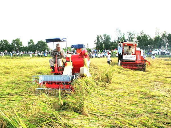 Việc đưa cơ giới vào phát triển sản xuất lúa tại vùng ĐBSCL đã có sự hỗ trợ tích cực từ chính sách đầu tư tín dụng.
