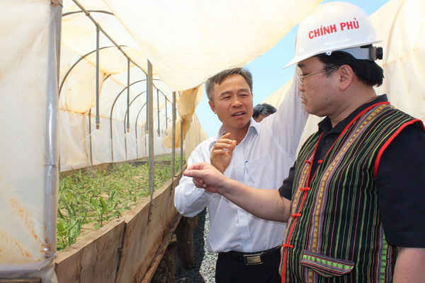 Phó Thủ tướng Hoàng Trung Hải khảo sát việc trồng cây mắc-ca tại huyện Tuy Đức