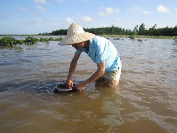 Khảo sát môi trường nước tại Khu bảo tồn thiên nhiên Tiền Hải, tỉnh Thái Bình 