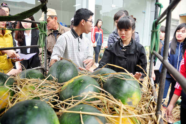 Có nhiều người mua hàng tấn dưa để ủng hội bà con Quảng Nam.