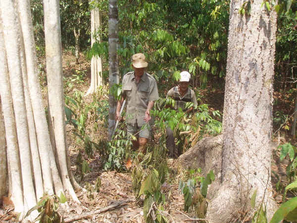Câu chuyện “hiếm” về cha con lão nông giữ rừng này khiến chúng ta ý thức hơn về công tác quản lý và bảo vệ rừng trong thời điểm hiện nay.