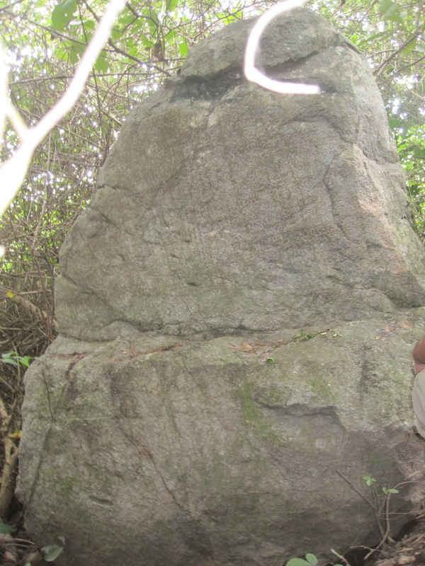 Bia đá được đồn thổi có liên quan đến kho báu của người Chăm.