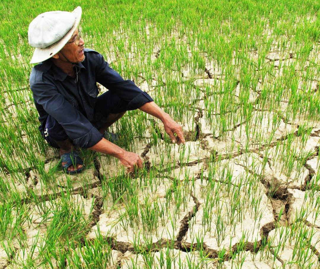 Bình Thuận: Thiếu hụt nguồn nước trầm trọng do biến đổi khí hậu