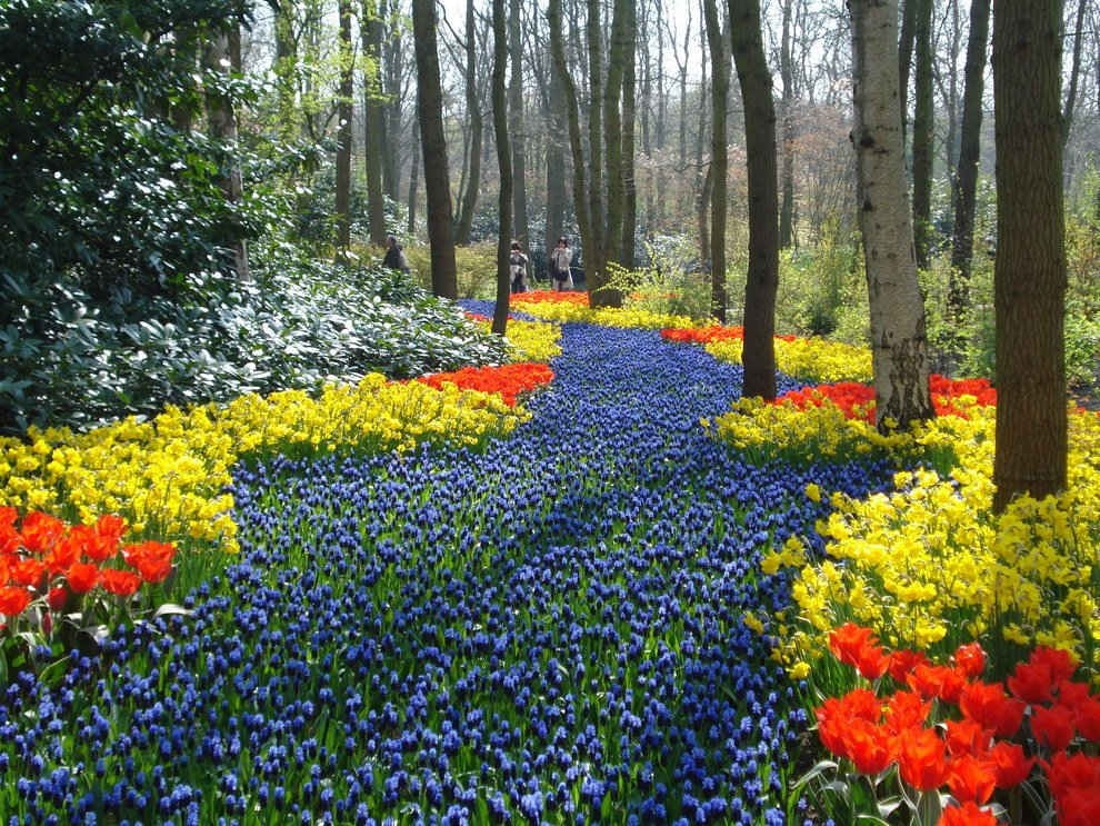 Theo tiếng Hà Lan, Keukenhof có nghĩa là 