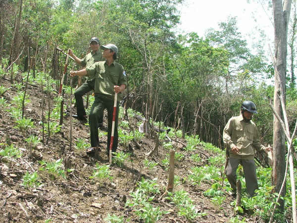 Ban quản lý rừng phòng hộ Đồng Xuân tuần tra bảo vệ và PCCCR