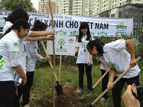 Học sinh trồng cây bảo vệ môi trường