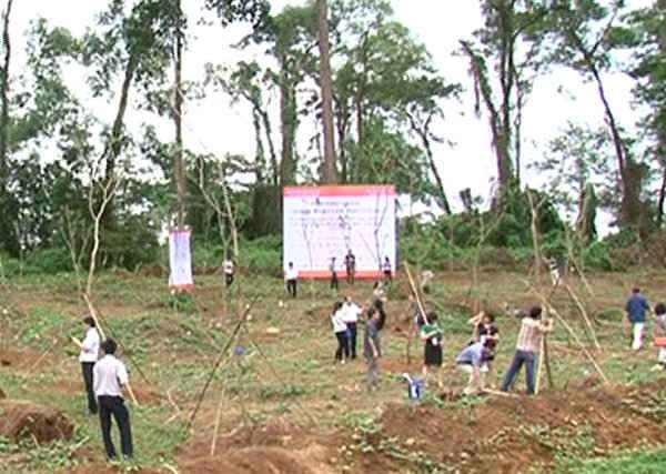 Đại diện Bộ Tư lệnh Lăng, các Hiệp hội Doanh nghiệp và Doanh nhân trồng cây Sưa đỏ tại Khu D Khu di tích Đá Chông K9
