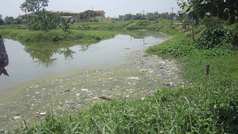 Rác thải nổi lềnh bềnh trên mặt sông trên địa phận xã Thanh Thùy, huyện Thanh Oai, TP Hà Nội