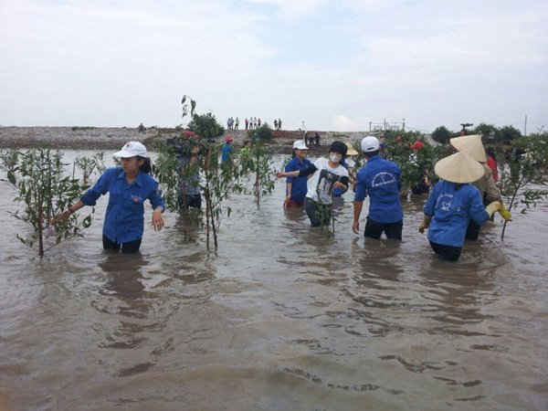 Đê biển từ Quảng Ninh đến Quảng Nam sẽ được rà soát nhằm tăng khả năng thích ứng với BĐKH