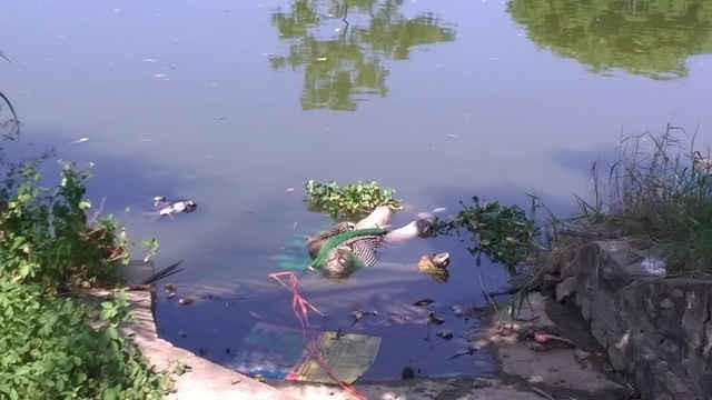 Hiện trường phát hiện thi thể nam thanh niên tại sông Chu đoạn chảy qua Phường Quảng Hưng.