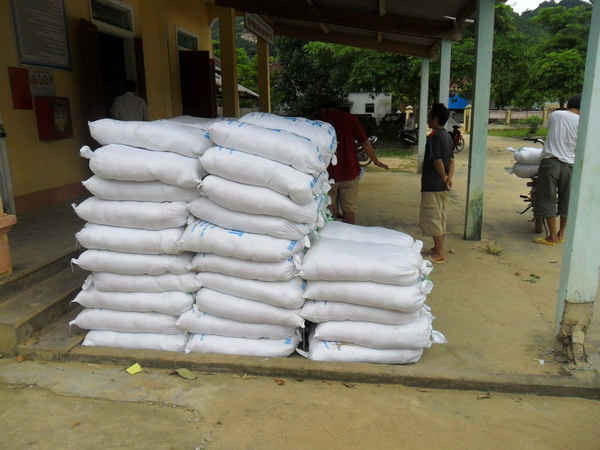 UBND tỉnh Nghệ An phân bổ gần 1,6 nghìn tấn gạo cứu đói mùa giáp hạt