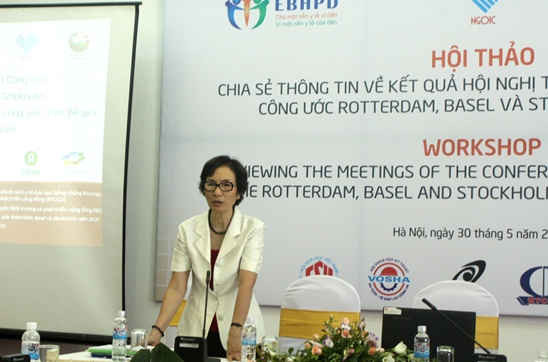 PGS,TS Bùi Thị An, Viện trưởng Viện Tài nguyên, môi trường và Phát triển cộng đồng phát biểu tại Hội thảo