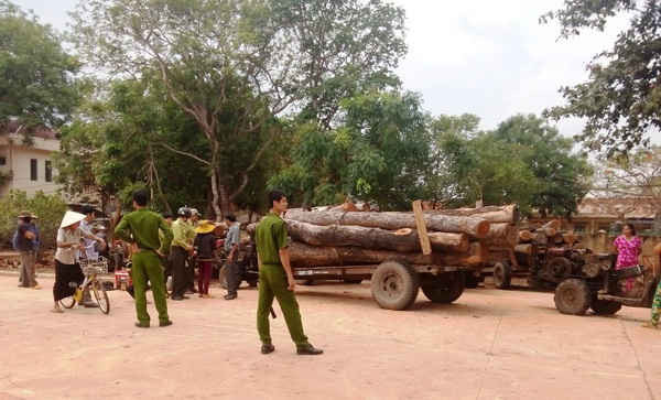 Người dân ngăn cản lực lượng chức năng đưa gỗ lậu về Hạt kiểm lâm