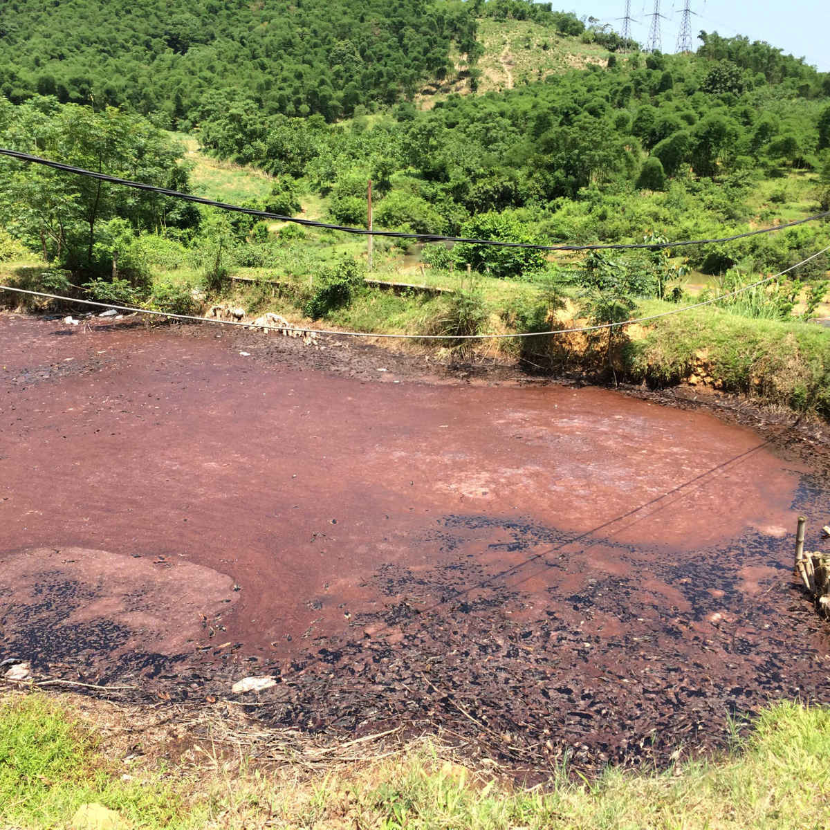 Ao chứa nước thải của Tổ hợp Sơn Lâm không có đáy được đào đắp bằng đất lở loét có màu đen kịt chảy xuống sông Than và ra sông Đằn