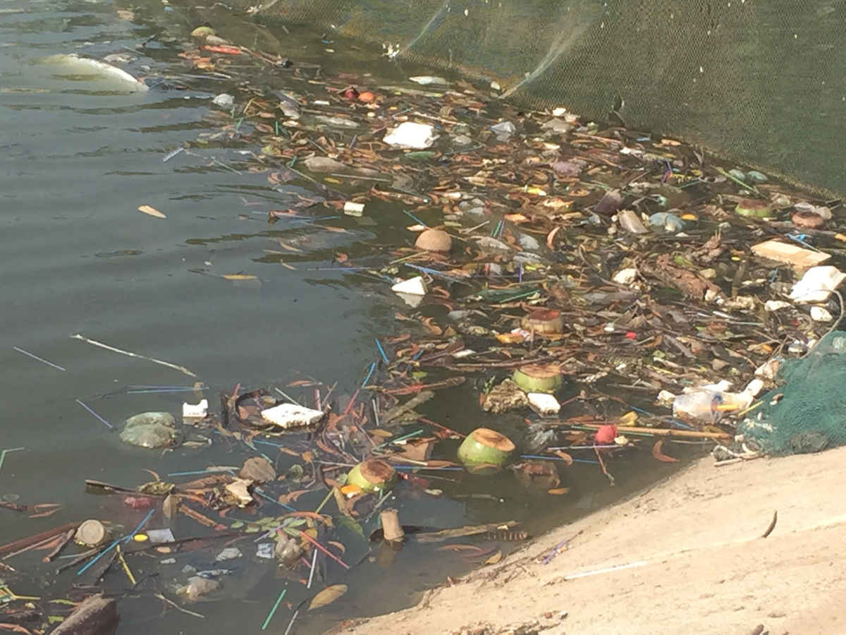 Mặt nước hồ Linh Đàm đang bị rác thải bủa vây sau hơn một năm chỉnh trang và kè bờ