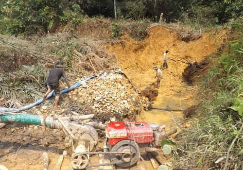 Hoạt động khai thác vàng trong vườn quốc gia Vũ Quang