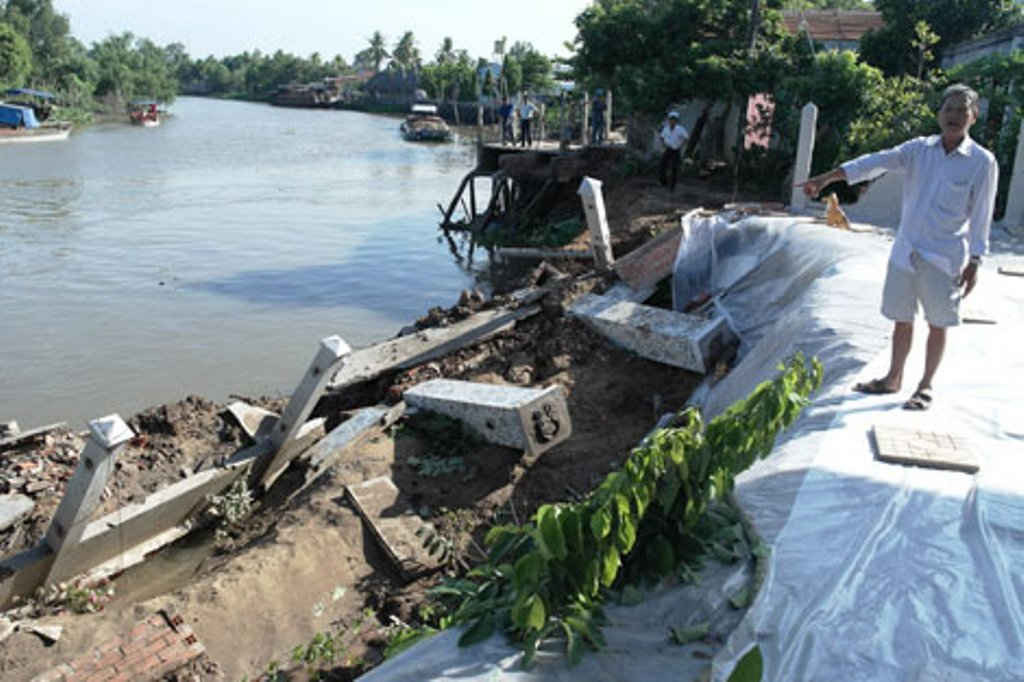 Đoạn đê bao sông Long Hồ, huyện Mang Thít, Vĩnh Long đang bị sạt lở nghiêm trọng