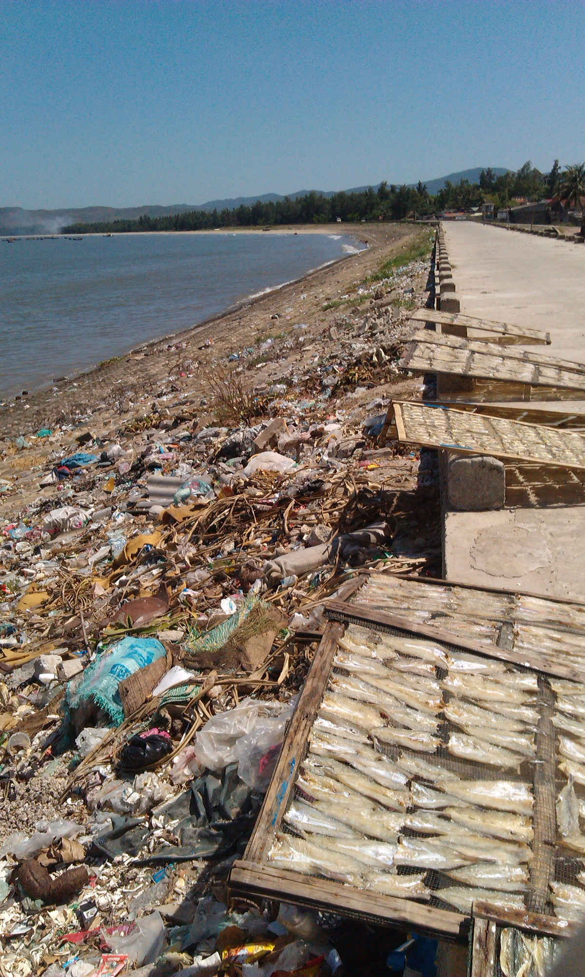 Mặc dù đã có đơn vị thu gom rác thải nhưng “tiện tay” người dân xã Hải Bình vẫn xả rác ngay bên cạnh chỗ phơi cá.