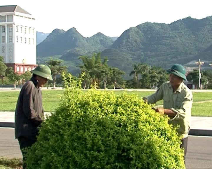 Công nhân công ty cổ phần môi trường đô thị tỉnh Lai Châu đang chăm sóc, cắt tỉa cây xanh
