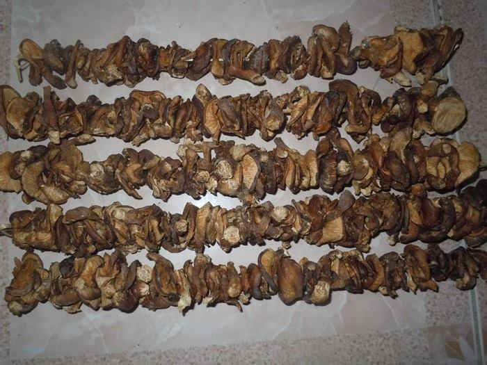 Nấm hương rừng Sa Pa phơi khô được bán tại chợ Sa Pa với giá từ 300 - 500 ngàn /kg nhưng thường là nấm Trung Quốc đội lốt nấm hương rừng Sa Pa