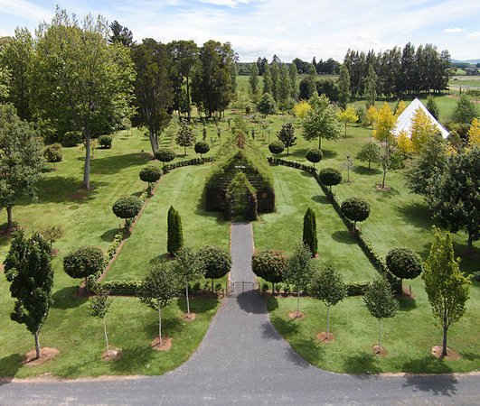 Năm 2011, ông nảy ra ý định dành một phần diện tích sân nhà mình để tạo nên nhà thờ từ các loại cây xanh. Trước đó, ông đã ghé thăm rất nhiều nhà thờ trên thế giới.