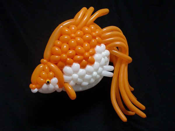 Hay một con cá vàng đang bơi cũng là sản phẩm đẹp mắt được làm từ bóng bay
