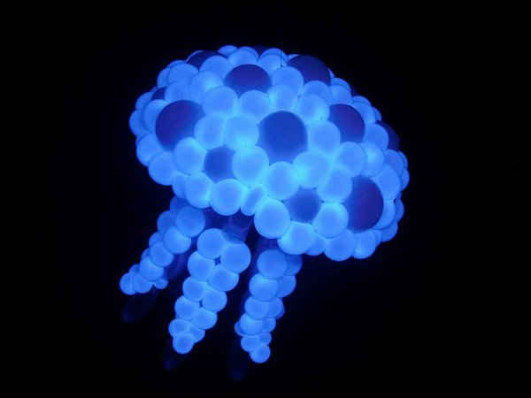 Và cả con sứa xanh phát sáng trong bóng tối