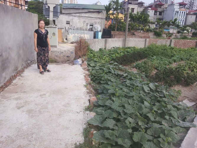 Đoạn bờ ruộng ông Nguyễn Văn Giỏi đổ bê tông có chiều rộng khoảng hơn 1 m