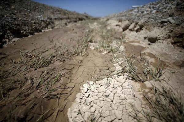 Một mương khô ở Gless Ranch, Kern County (California, Mỹ) ngày 23/7/2015. Ảnh: REUTERS / LUCY Nicholson