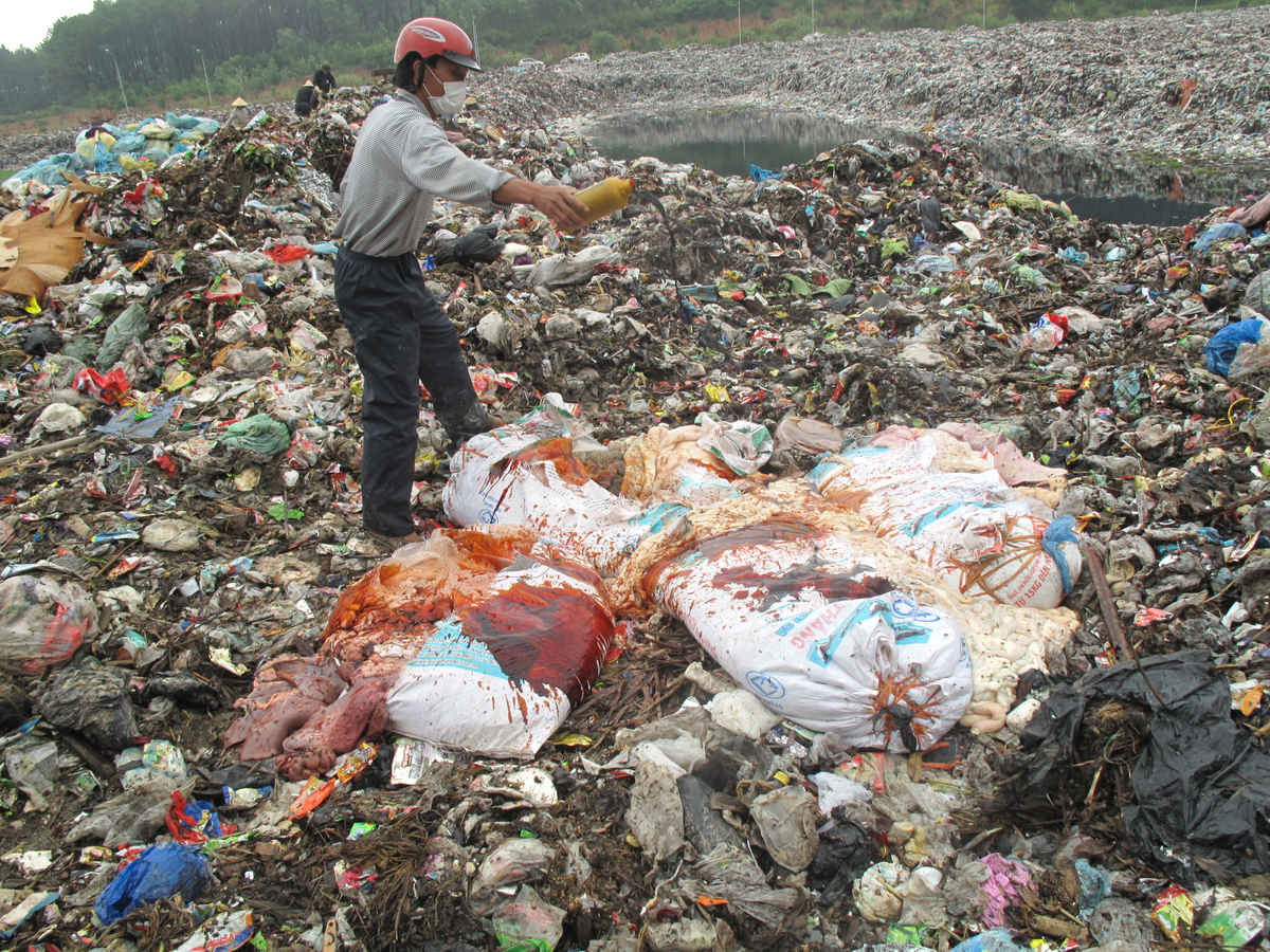 Lực lượng chức năng đang tiêu hủy số nội tạng tại bãi rác Ngọc Sơn