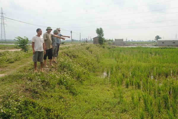 Người dân bức xúc tố cáo cán bộ thôn Mão Chinh vi phạm nghiêm trọng Luật Đất đai 