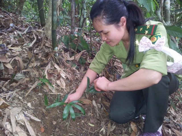 Cán bộ kiểm lâm Khu bảo tồn thiên nhiên Kim Hỷ điều tra đa dạng sinh học trong khu bảo tồn.