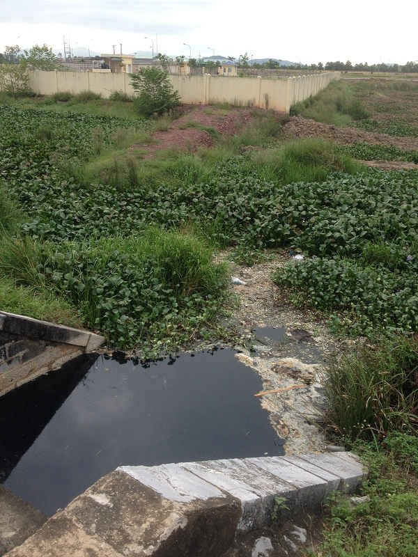 Cống nước thải từ Trạm xử lý nước thải tập trung KCN Nam Cấm cắt ngag đường sắt Bắc – Nam có màu đen kịt, bốc mùi hôi thối
