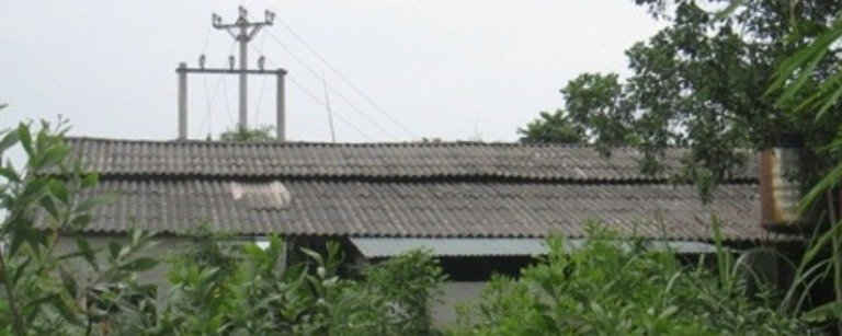 Cơ sở thu mua, chế biến mủ cao su tại xã Quảng Phú đã bị đình chỉ vì gây ô nhiễm môi trường nghiêm trọng.