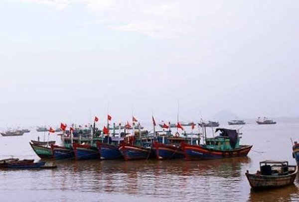 Một số tàu cá trên vùng biển thuộc huyện Hậu Lộc