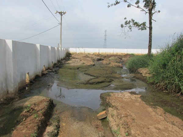 Hồ chứa nước thải của Công ty bị vỡ nên phân bò và nước bị tràn ra ngoài