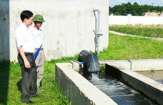 Xử lý nước thải ở KCN Tân Trường, huyện Cẩm Giàng
