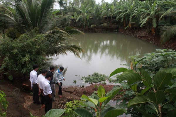 Đất vành đai mỏ nước Kô Tam trồng cây rừng bảo vệ bị thiết kế xây dựng như vườn nhà.