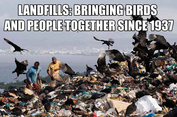 Người dân thu nhặt các vật liệu tái chế từ một trong những bãi rác lớn nhất ở Rio de Janeiro, Brazil. Ảnh: Buda Mendes / STF / LatinContent / Getty Images