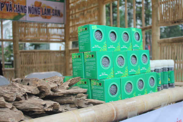 Công ty Sơn Tiến mang đến sản phẩm trầm hương và tiêu đen Tiên Phước, Quảng Nam.