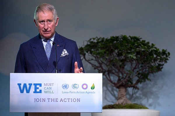 Hoàng tử Charles có bài phát biểu về rừng trong hội nghị khí hậu COP21 tại Le Bourget, phía bắc Paris, Pháp. Ảnh: Etienne Laurent / EPA