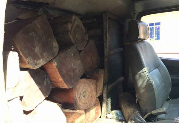  Số gỗ trên xe không có nguồn gốc hợp pháp